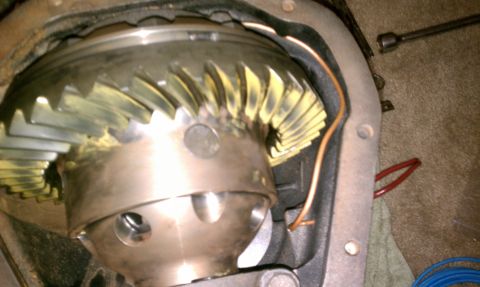 1990 Ford Bronco - Differential gears with yellow marking compound applied to teeth, indicating contact pattern.