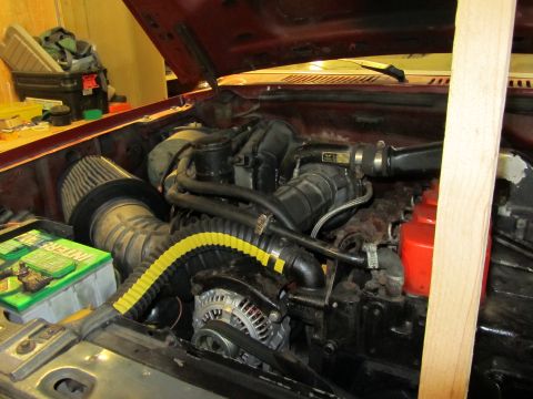 1984 Ford Bronco - The engine bay of a vehicle is shown with various components and hoses, including an aftermarket air filter.