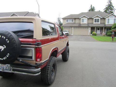 1984 Ford Bronco - Rear view of a two-tone 1984 Ford Bronco with a spare tire mounted on the tailgate.