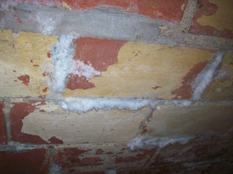 1969 Ford Torino - White mineral deposits, known as efflorescence, are visible on the surface of this brick wall.