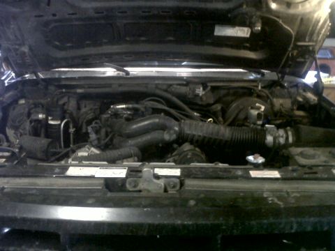 1994 Ford F-150 - Engine bay of a 1994 Ford F-150, showing the motor and associated components.
