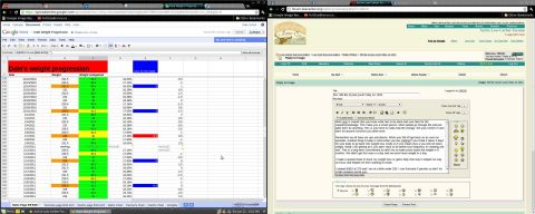 1979 Ford F-150 - A screenshot shows a weight tracking spreadsheet alongside a forum discussion about weight loss.