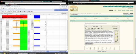 1979 Ford F-150 - A screenshot displays a weight tracking spreadsheet alongside a forum discussion thread.