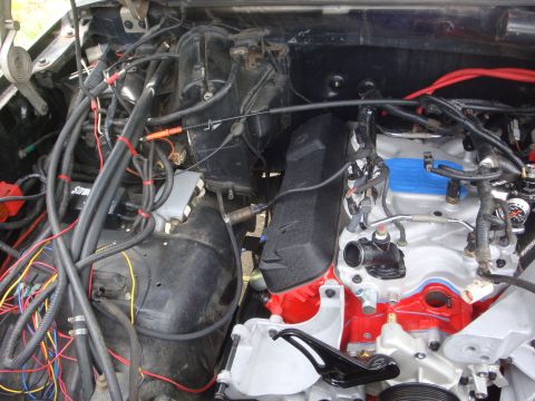 1989 Ford Bronco - The engine bay is filled with numerous wires and hoses, obscuring the engine components.