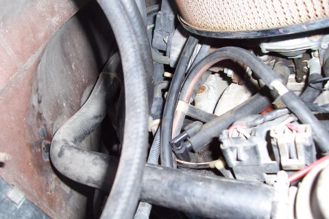 1988 Ford Bronco - Close-up view of engine components, including hoses and electrical connectors, with a visible watermark.