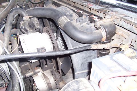 1988 Ford Bronco - Close-up view of the engine compartment, showing various mechanical components and hoses.