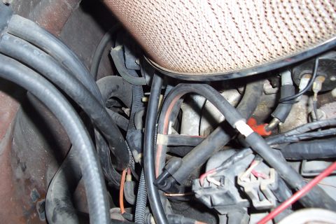 1988 Ford Bronco - Close-up view of the engine compartment, showing various hoses and electrical components.