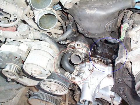 1992 Ford Bronco - Visible coolant leak originating from the engine's water pump and thermostat area.