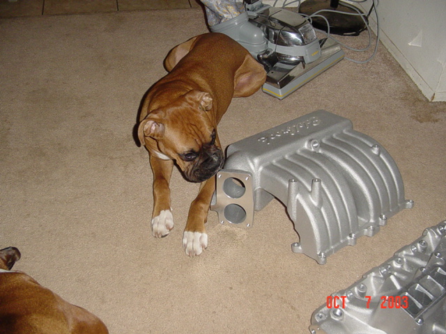 Does Cassius like it?