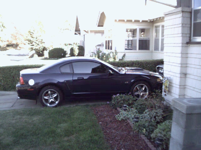 2001 Ford Mustang “Bullitt”