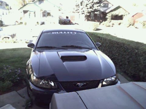 2001 Ford Mustang - Front view of a dark 2001 Ford Mustang, identified by its body style and 'BULLITT' windshield decal.