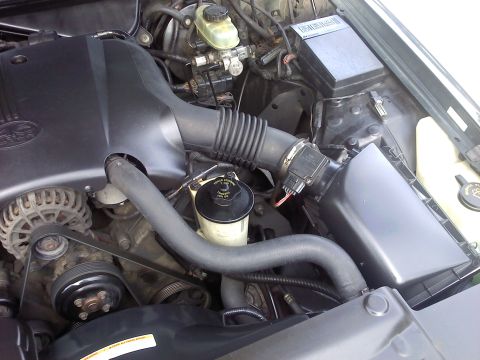 1998 Ford Crown Victoria photo