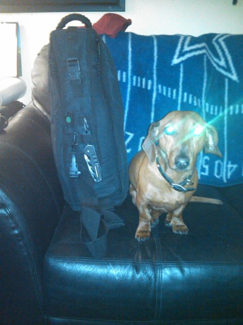 1993 Ford Bronco - A dachshund sits on a couch with a backpack and a football-themed blanket.