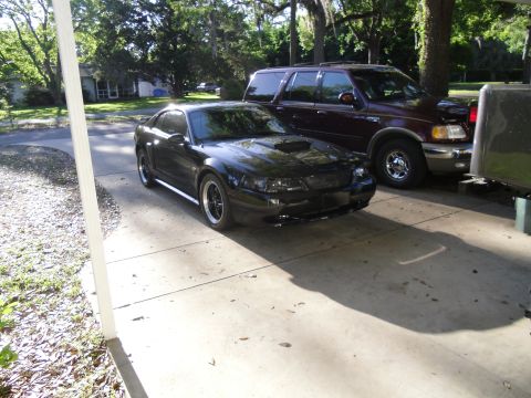 1978 Ford Bronco - A black Ford Mustang and a maroon SUV are parked in a driveway on a sunny day.