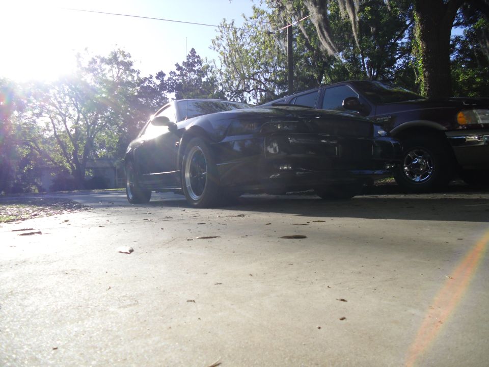 Black sports car parked next to a dark SUV on a sunny day