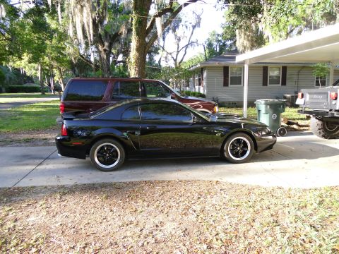1978 Ford Bronco - A black Ford Mustang is parked on a driveway next to an SUV and a Jeep.