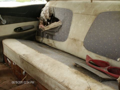 1958 Ford Fairlane - The interior of a 1958 Ford Fairlane reveals significant damage to the rear seat upholstery, exposing internal padding.