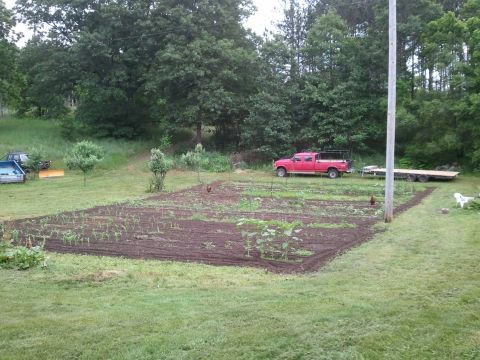 1985 Ford F-150 - A red pickup truck sits idle near a cultivated garden plot, with a flatbed trailer attached.