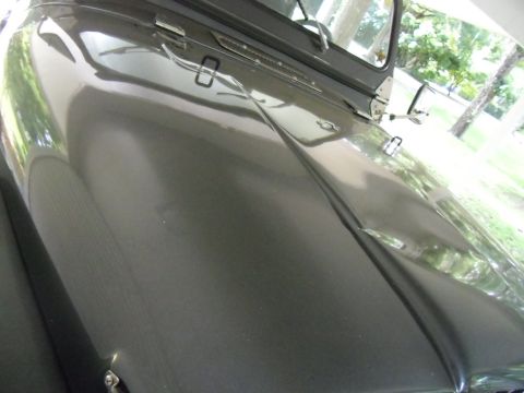 1978 Ford Bronco - Hood of a dark vehicle shows a dent and reflections of the surrounding trees.