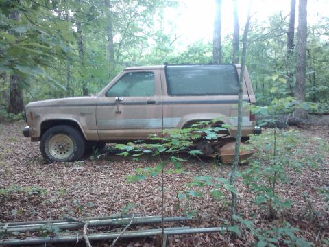 1982 Ford Bronco - A tan Ford Bronco II sits abandoned in a forest, partially obscured by foliage.