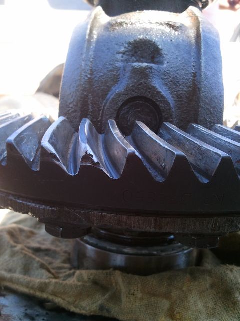 1982 Ford Bronco - A differential gear assembly is shown, with focus on the meshing teeth and the cast iron housing.