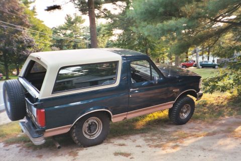 1994 Ford Bronco - 1994 Ford Bronco parked in a grassy area with trees and other vehicles in the background.