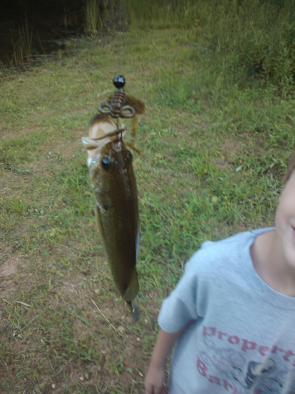 Fish hanging from a scale, with a child's shoulder and shirt visible on the right