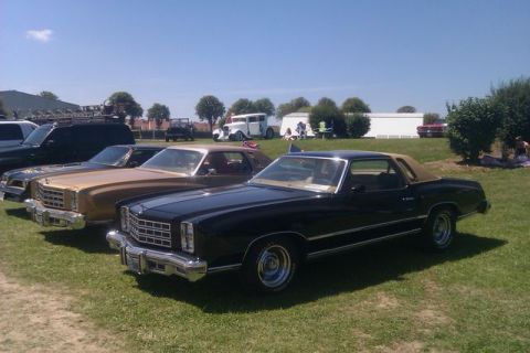 1991 Ford LTD Crown Victoria - A black coupe with a tan vinyl top is parked on a grassy field next to other classic cars.
