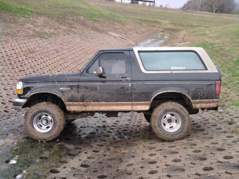 1994 Ford Bronco - This 1994 Ford Bronco is shown off-road, its dark paint and white top contrasting with the muddy terrain.