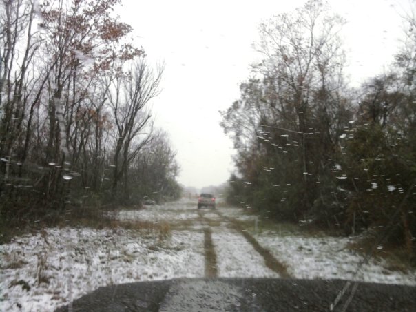 Orange SUV driving on a snowy dirt road between bare trees
