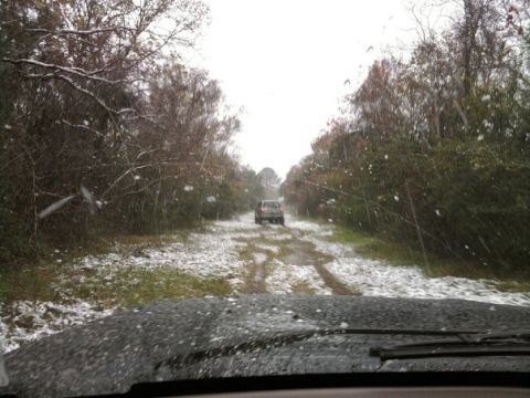 1994 Ford Bronco - Two SUVs travel down a snow-dusted dirt road surrounded by trees.