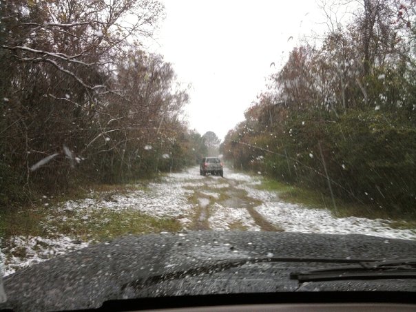 SUV driving on snowy dirt road, trees on sides