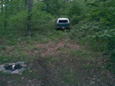 1979 Ford Bronco - A green and white SUV is parked on a hill surrounded by trees and grass.