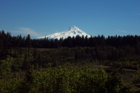 1996 Ford Bronco - Mt. Hood