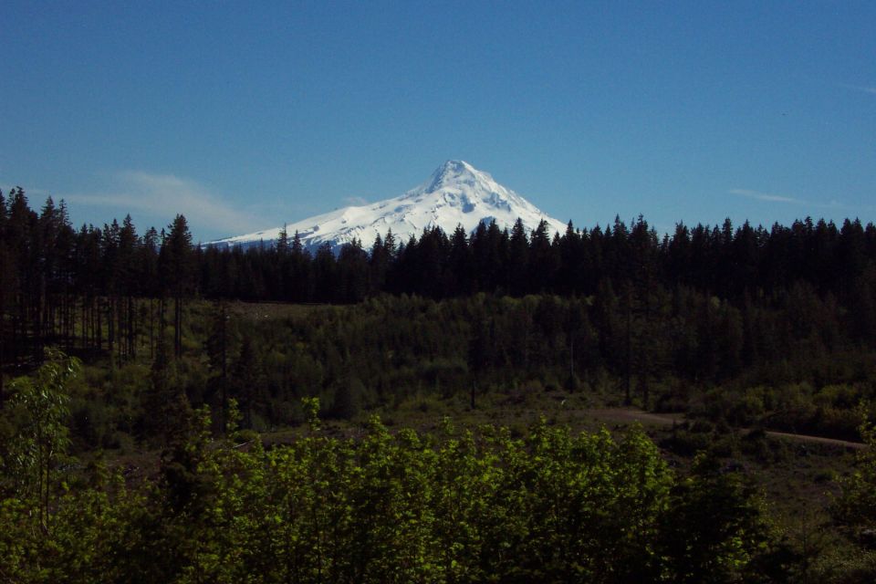 Snow-capped Mount Hood viewed over a forested valley under a clear blue sky