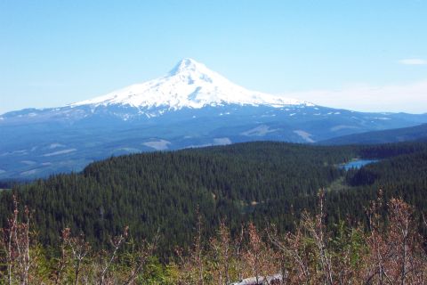 1996 Ford Bronco - Mt. Hood
