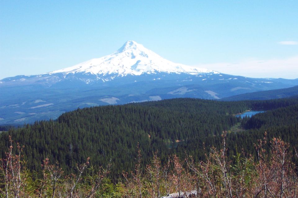 Snow-capped mountain peak above rolling forested ridges and a distant lake