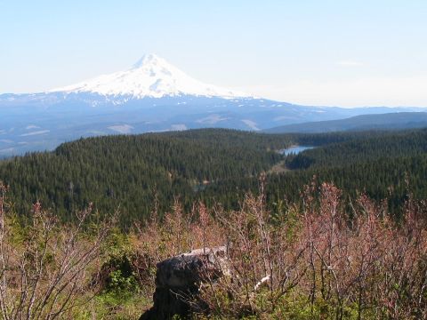 1996 Ford Bronco - Mt. Hood