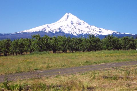 1996 Ford Bronco - Mt. Hood (ranger station)