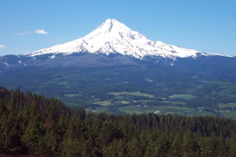 1996 Ford Bronco - Mt. Hood