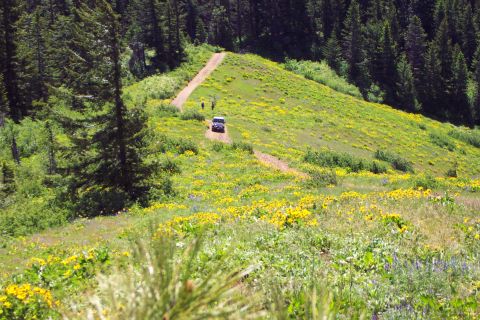 1996 Ford Bronco - Steve - Hill Climb