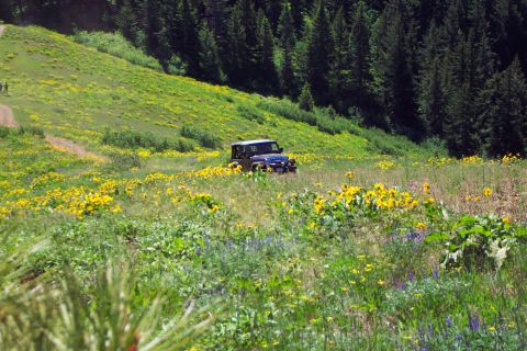 1996 Ford Bronco - Steve - Hill Climb