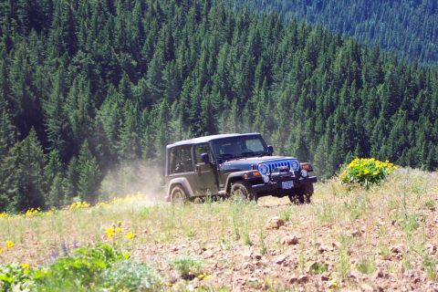 1996 Ford Bronco - Steve - Hill Climb