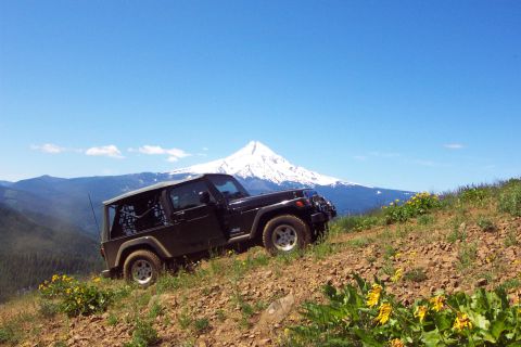 1996 Ford Bronco - Steve - Hill Climb