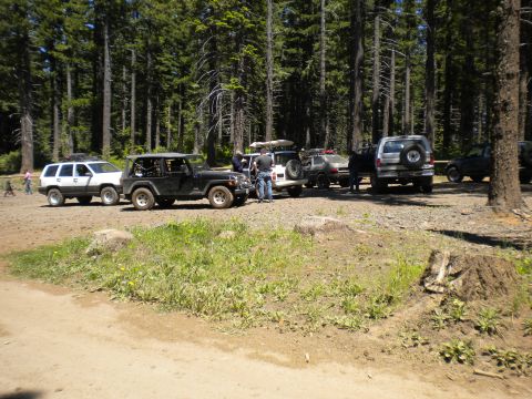 2005 Jeep Wrangler - Multiple SUVs are parked in a forest clearing, with people gathered near the vehicles.