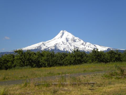 2005 Jeep Wrangler - Mount Hood on a clear day, viewed from a grassy field with trees.