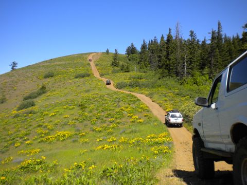 2005 Jeep Wrangler - A convoy of SUVs navigates a winding dirt road through a meadow dotted with yellow wildflowers.