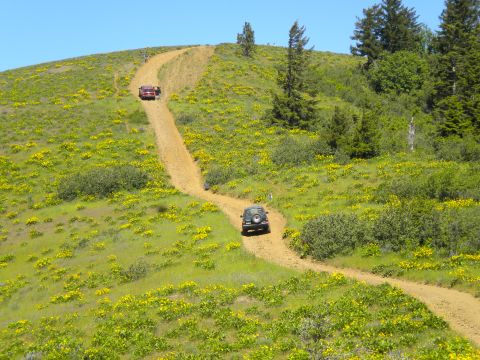 2005 Jeep Wrangler - Two off-road vehicles, a dark green Jeep Wrangler and a red SUV, navigate a winding dirt path through a grassy, wildflower-covered hillside.