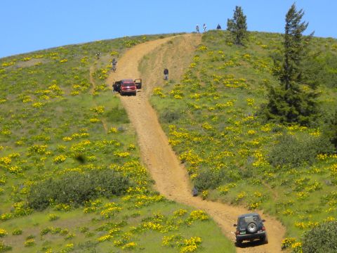 2005 Jeep Wrangler - Two SUVs navigate a dirt road on a wildflower-covered hill with people observing.