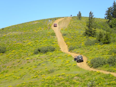 2005 Jeep Wrangler - Two vehicles ascend a grassy hill dotted with yellow wildflowers under a clear blue sky.
